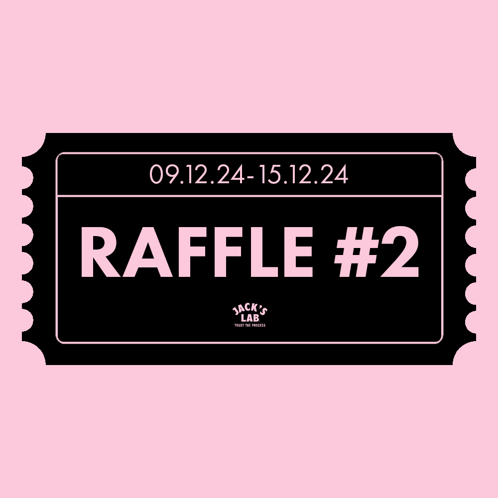 Jack's Lab Christmas Raffle Ticket #2