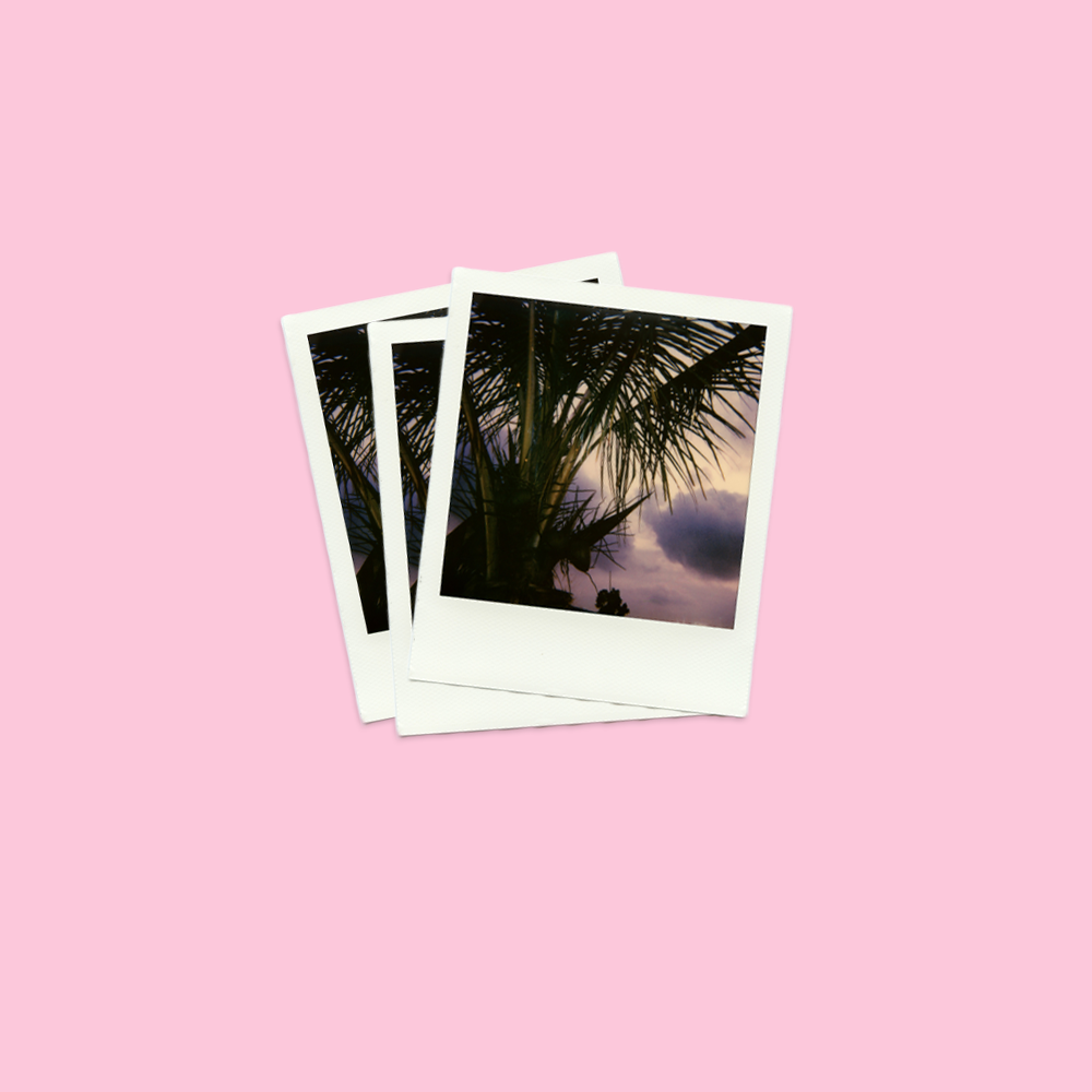 Polaroid scanning (per frame)